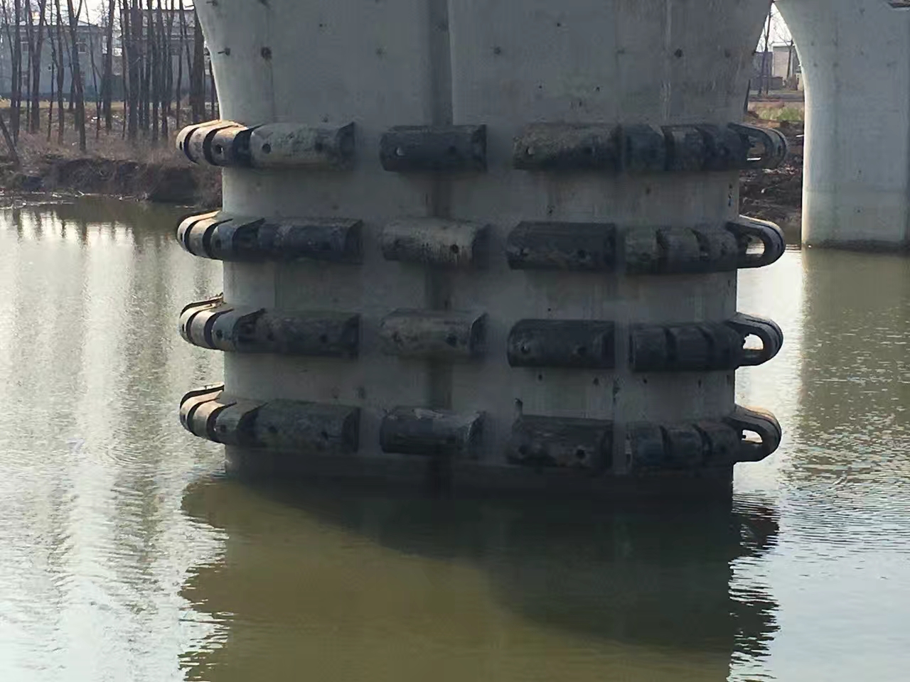 D型橡膠護舷